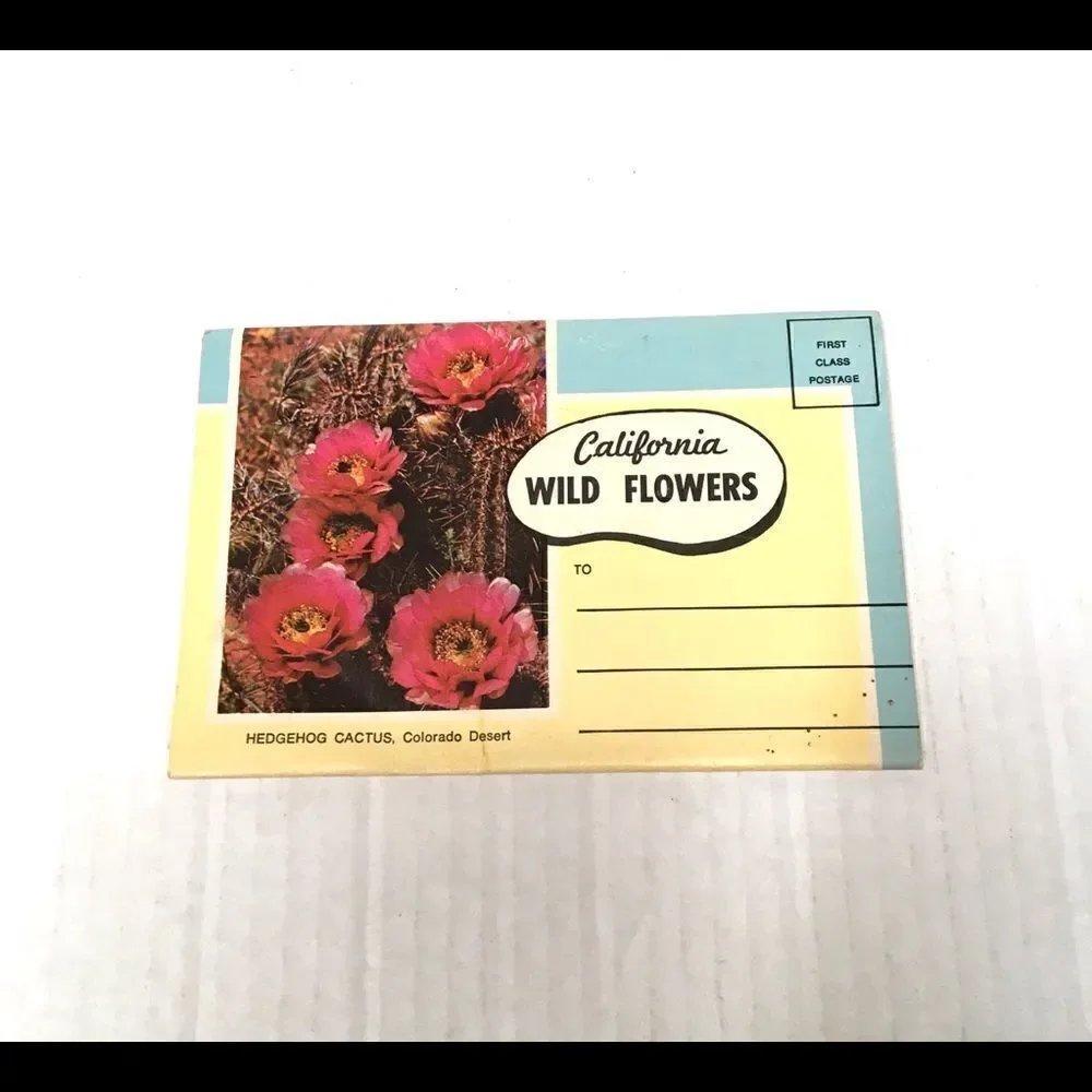 Vintage California wildflower postcard set‎